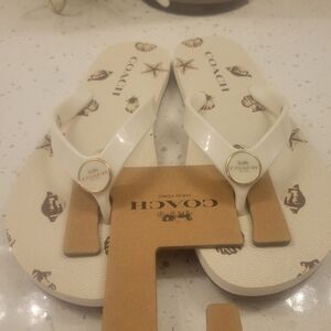 Coach Seashell Flip Flops